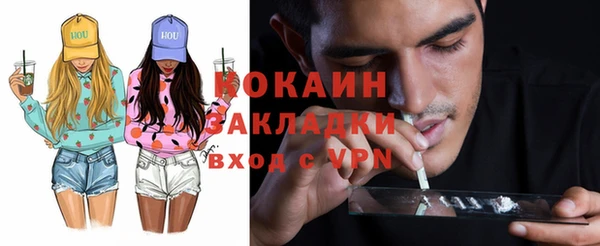 хмурый Алзамай