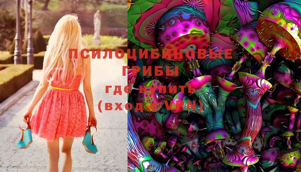 хмурый Алзамай